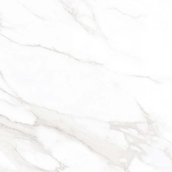 Tundra Trace